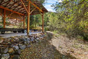View of yard with a view of trees
