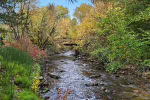 Water view with a forest