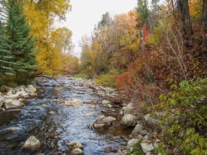 View of wooded area with a water view