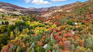 View of mountain background