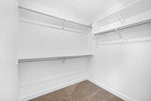 Walk in closet featuring carpet