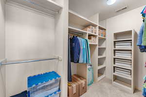 Spacious closet featuring light colored carpet