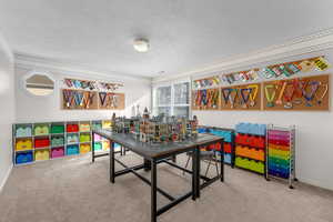Game room featuring a textured ceiling and carpet