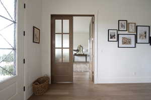 Doorway featuring wood finished floors and healthy amount of natural light
