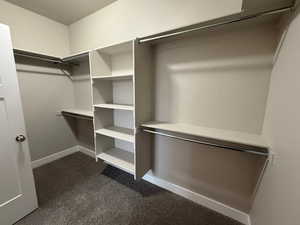 Spacious closet with dark colored carpet