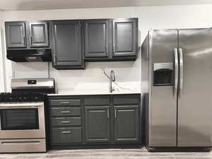 Kitchen with appliances with stainless steel finishes, light wood-type flooring, under cabinet range hood, and dark cabinets