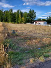 View of yard with a view of rural / pastoral area