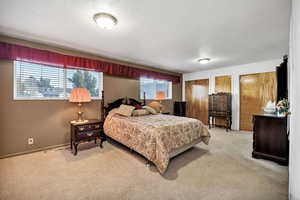 Bedroom with multiple closets and carpet flooring