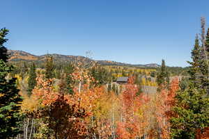 View of mountain backdrop featuring a forest