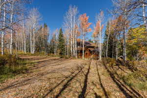 View of yard featuring a view of trees