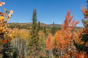 View of mountain background featuring a heavily wooded area