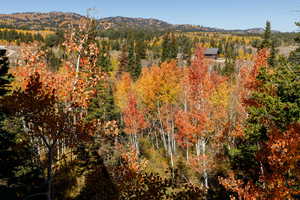 View of mountain background with a forest