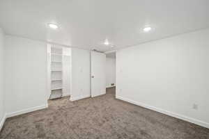 Basement bedroom with dark carpet and a closet.