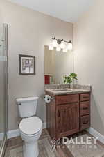 Vanity and toilet in the guest bath.