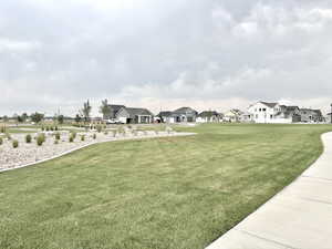 View of grassy yard
