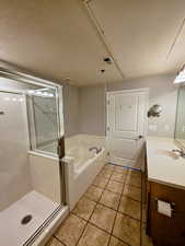 Grand bath off primary bedroom