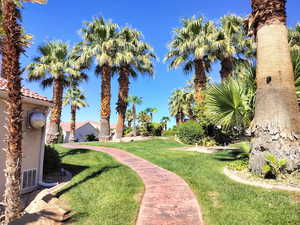 Surrounding community featuring a yard