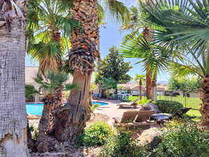 View of patio / terrace featuring a community pool