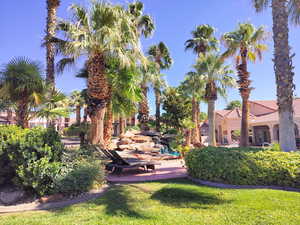 View of yard with a patio area