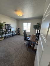 Office space with a textured ceiling and carpet