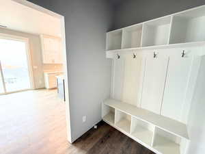 Mudroom featuring dark wood finished floors
