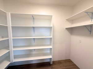 Walk in closet featuring dark wood-style floors