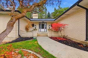 Property entrance with a chimney, brick siding, and a yard