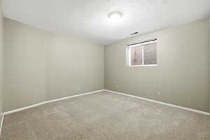 Unfurnished room with a textured ceiling and carpet
