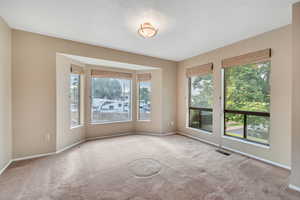 Unfurnished room with carpet flooring