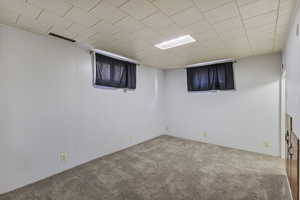 Finished below grade area with carpet flooring and wood walls