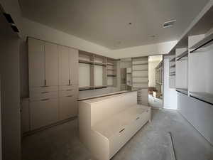 View of walk in closet