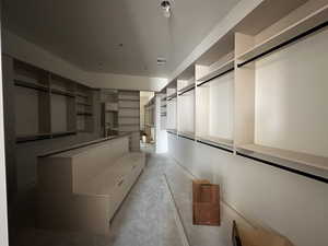 View of walk in closet
