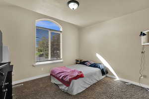 Carpeted bedroom featuring baseboards and lofted ceiling