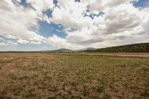 View of yard featuring a view of countryside and a mountain view