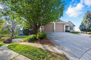 Obstructed view of property featuring stone siding, concrete driveway, stucco siding, and a garage