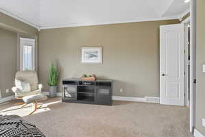 Sitting room with ornamental molding and carpet flooring