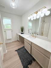 Bathroom featuring vanity, light wood-style flooring, and shower / washtub combination