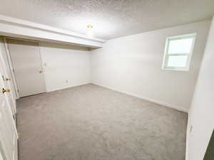 Basement featuring carpet floors and a textured ceiling