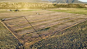 View of rural area featuring large plots for crops