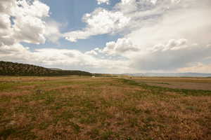 View of yard featuring a view of rural / pastoral area