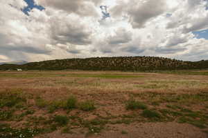 View of local wilderness with rural landscape