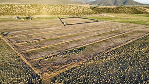 View of rural area with large plots for crops