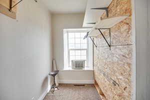 Walk in closet featuring light carpet