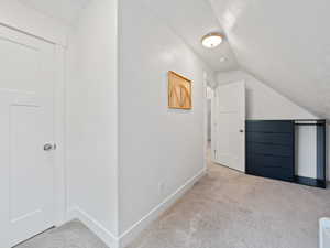 Additional living space with carpet floors, lofted ceiling, and a textured ceiling
