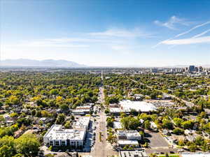 Bird's eye view of mountains