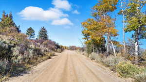 View of dirt / gravel road