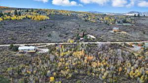 Aerial overview of property's location with a heavily wooded area and a mountainous background