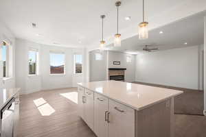 Kitchen with open floor plan, a fireplace, a center island, hanging light fixtures, and stainless steel dishwasher