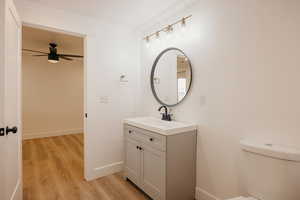 3 Piece bathroom featuring vanity, light wood finished floors, and a ceiling fan
