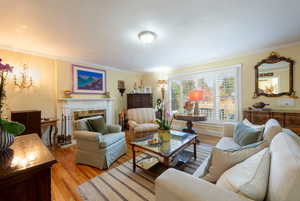 Living area featuring light wood-type flooring, crown molding, and a fireplace
